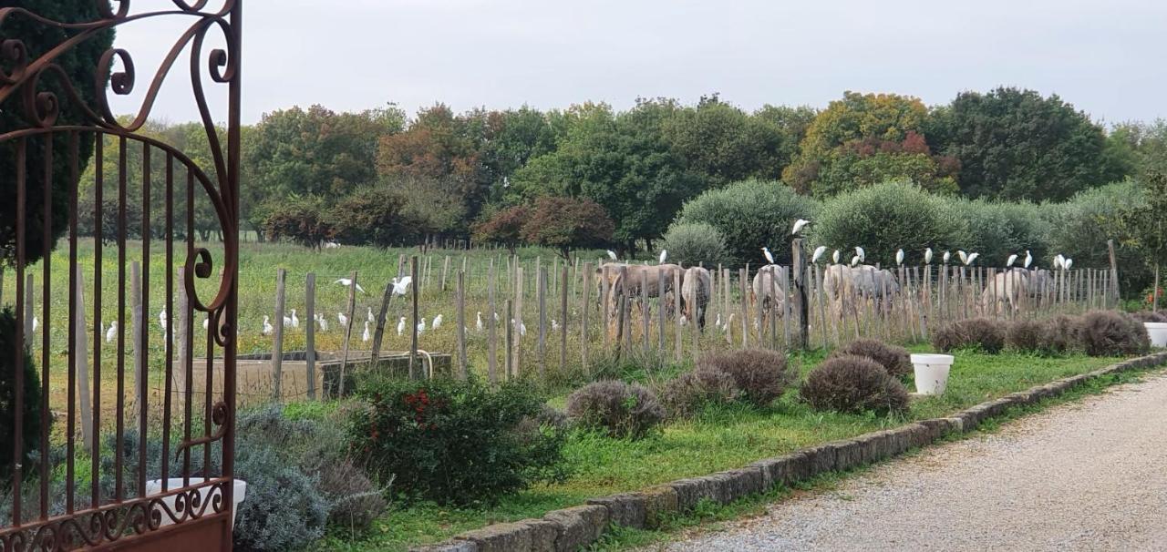 Le CailarLes Bonbonnettes住宿加早餐旅馆 外观 照片